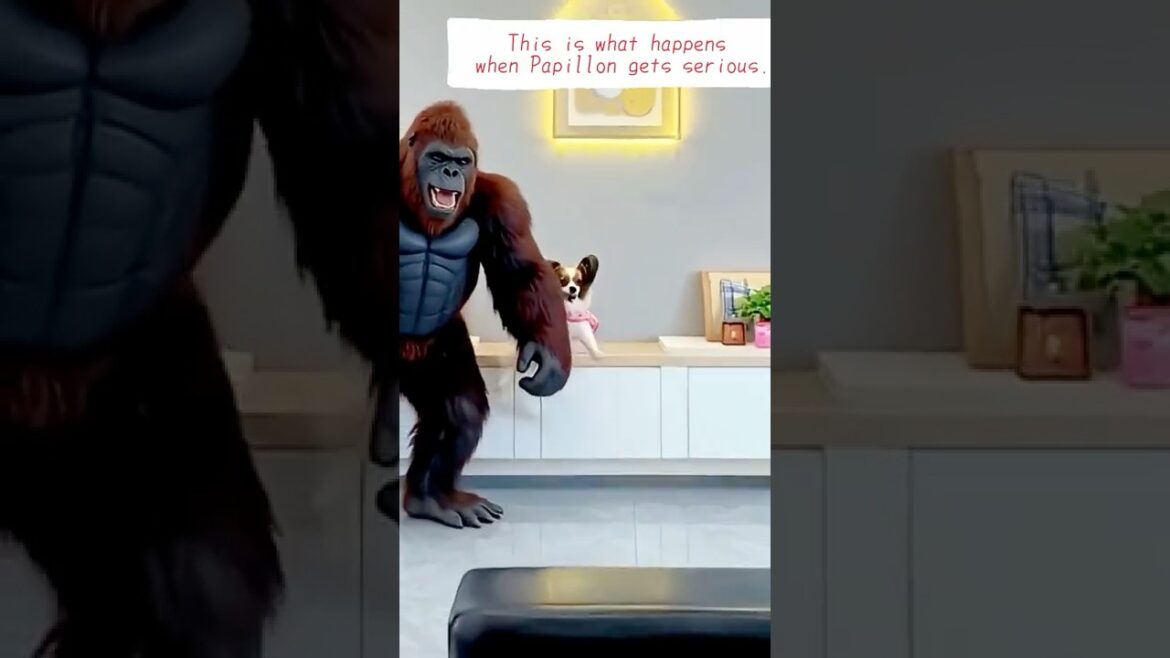 パピヨンが本気出したら！Is This the Strongest Dog Ever?　#ai #dogshorts #papilln #パピヨン