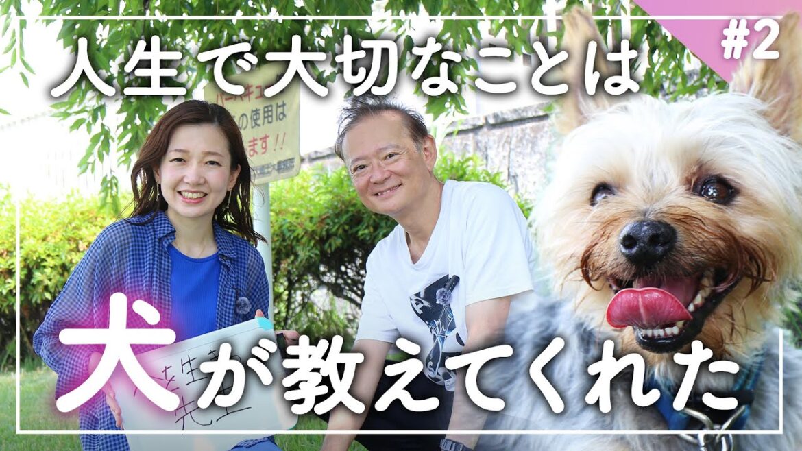 【ヨークシャーテリア】犬が教えてくれた、人生で大切なこととは？