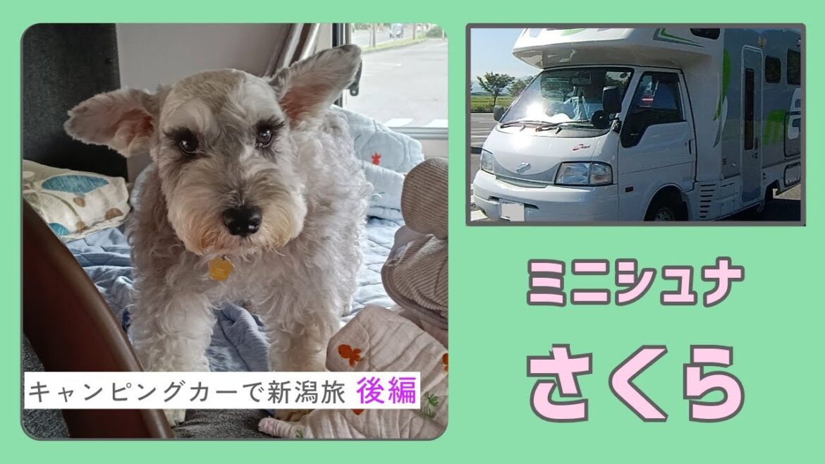 キャンピングカーで新潟旅(後編) キャンピングカーで新潟旅(後編)