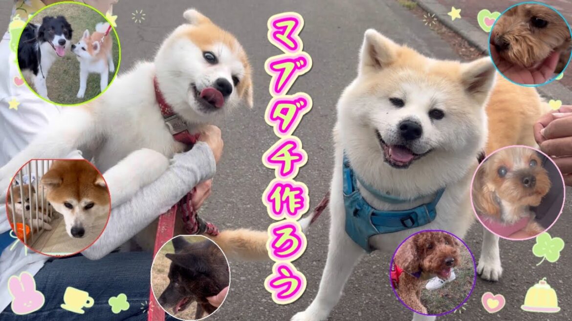 ①犬友１００匹できるかな🐧💕