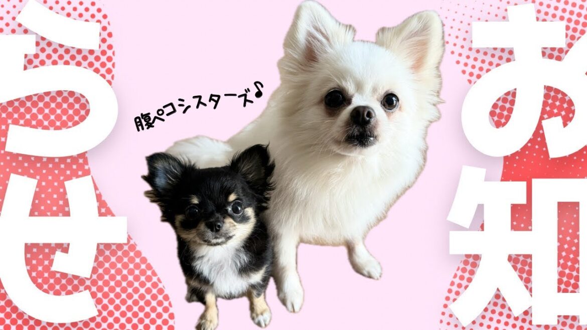 たくさんの思い出とチャンネルについてのご報告。