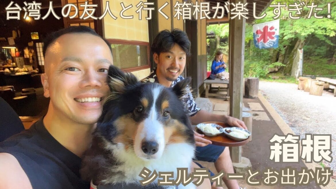 【🐶シェルティーとおでかけ】台湾人の友人と行く箱根が涼しすぎて最高!わんちゃんも台湾人も喜ぶ避暑地(enjoying cool air in Hakone with Taiwanese!) 【🐶シェルティーとおでかけ】台湾人の友人と行く箱根が涼しすぎて最高!わんちゃんも台湾人も喜ぶ避暑地(enjoying cool air in Hakone with Taiwanese!)