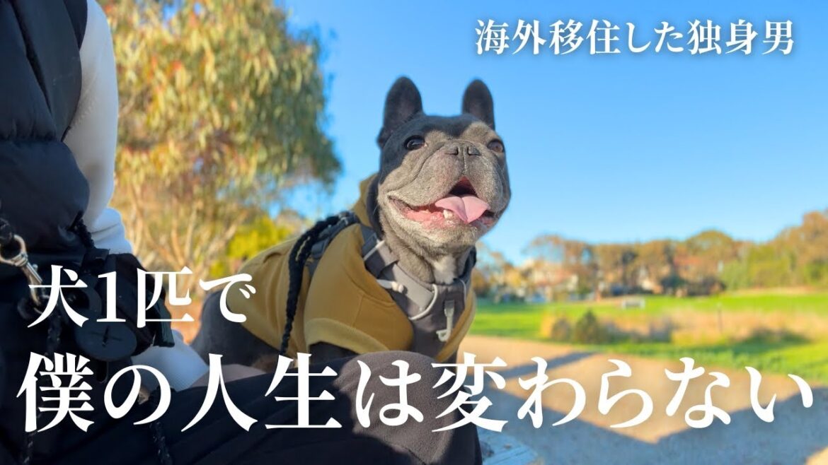 犬に人生狂わされた。最高に幸せな意味で。