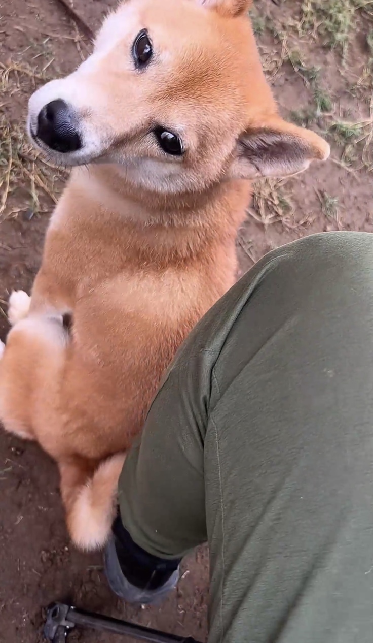 image.jpeg