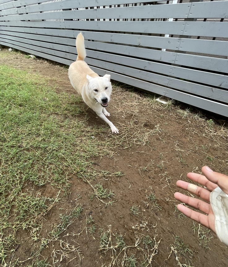 image.jpeg