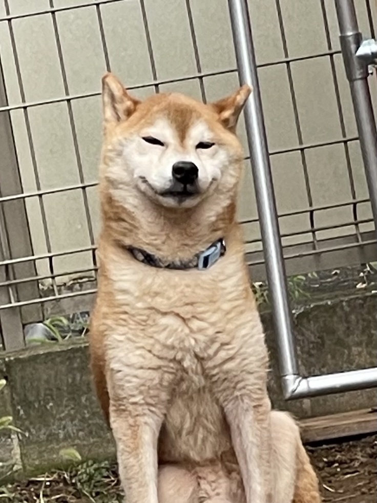 image.jpeg