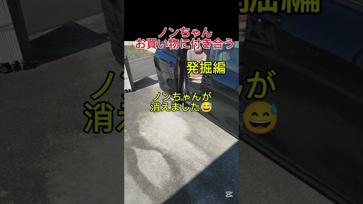 ノンちゃん行方不明事件(Non-chan's Missing Case)