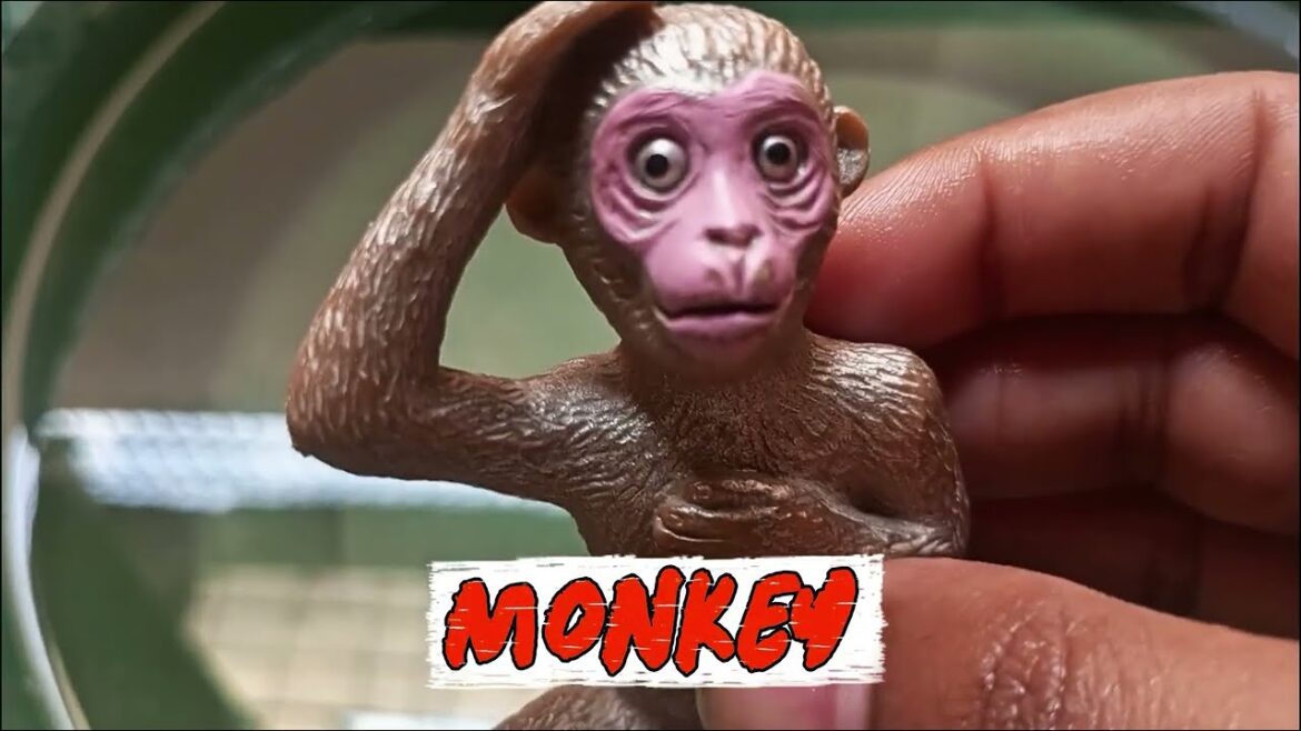 "Learn About Animal Behavior: Monkey Rhinocerose, Bengal Tigers, and Crab in a Water Tub"