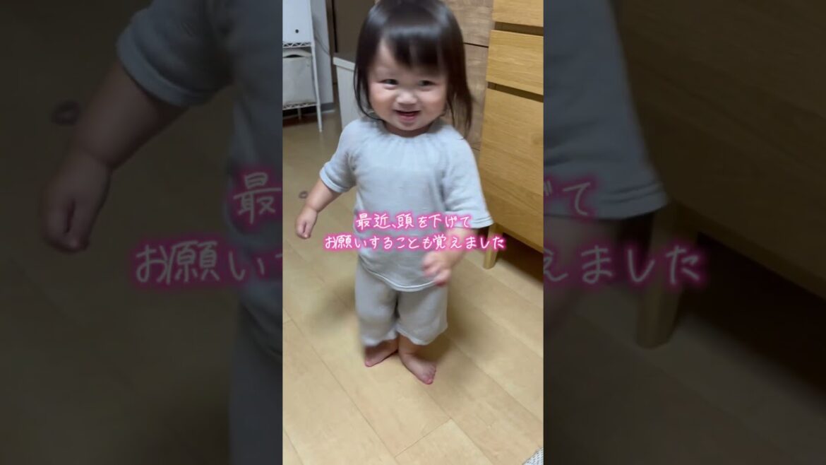 初めて梨を食べた2歳児の反応w #shorts #柴犬  #柴犬と子供 #子供のいる暮らし #もぐもぐタイム #おもしろ動画