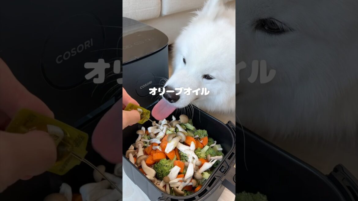 ノンフライヤーでごはんつくってみたら爆食してくれました！
