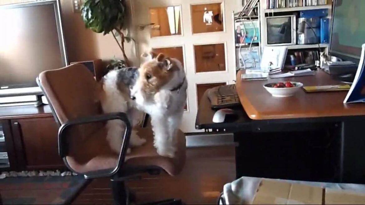 Agua de Beber　おいしい水