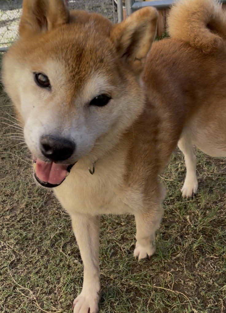 image.jpeg