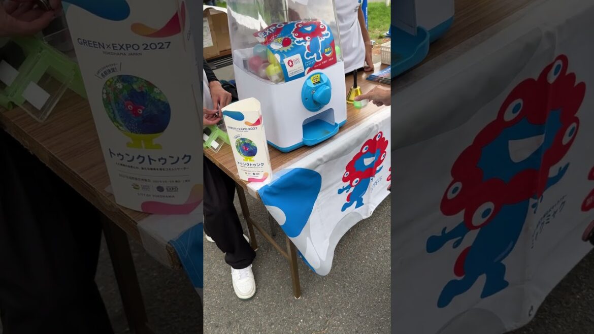 PARK JAM in 鶴見緑地#shorts [元保護犬チワワとパピヨンのかほご犬s]犬のいる暮らし/愛犬と楽しく過ごすために