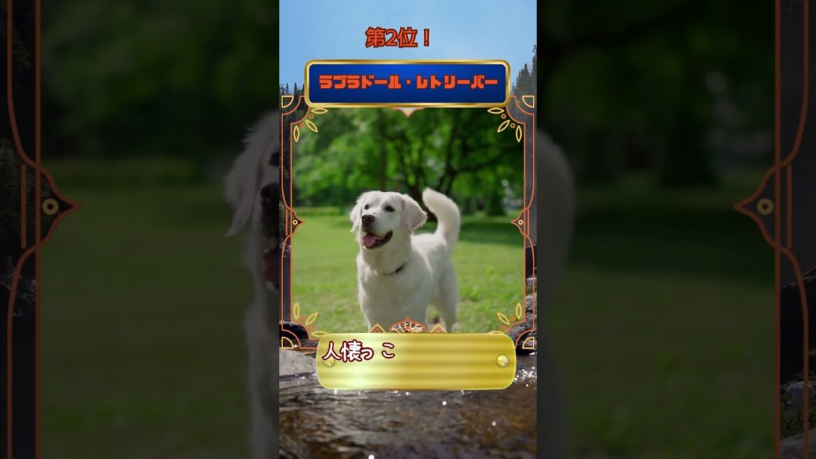 家族にやさしい大型犬ランキングTOP5