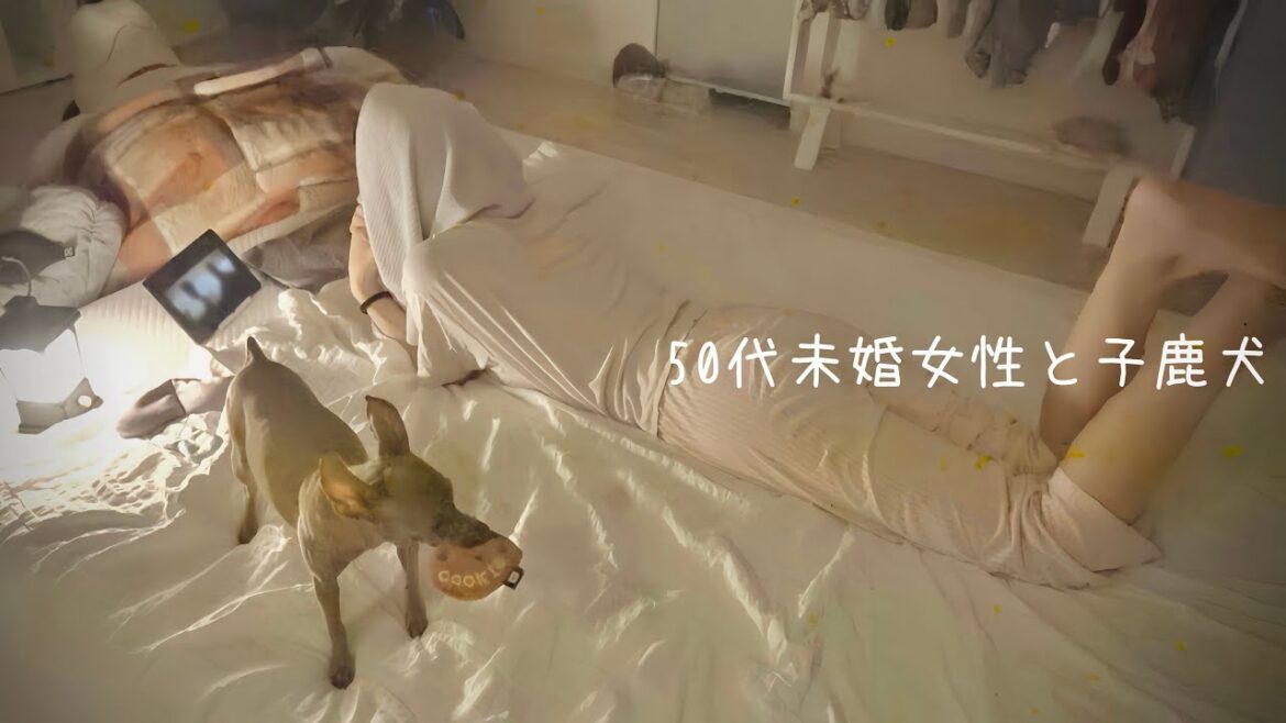 50代、未婚、子なし。冷たい雨の夜、言葉を話さない事が心地いい一人息子と過ごす幸せな夏の終わり【ミニピン】