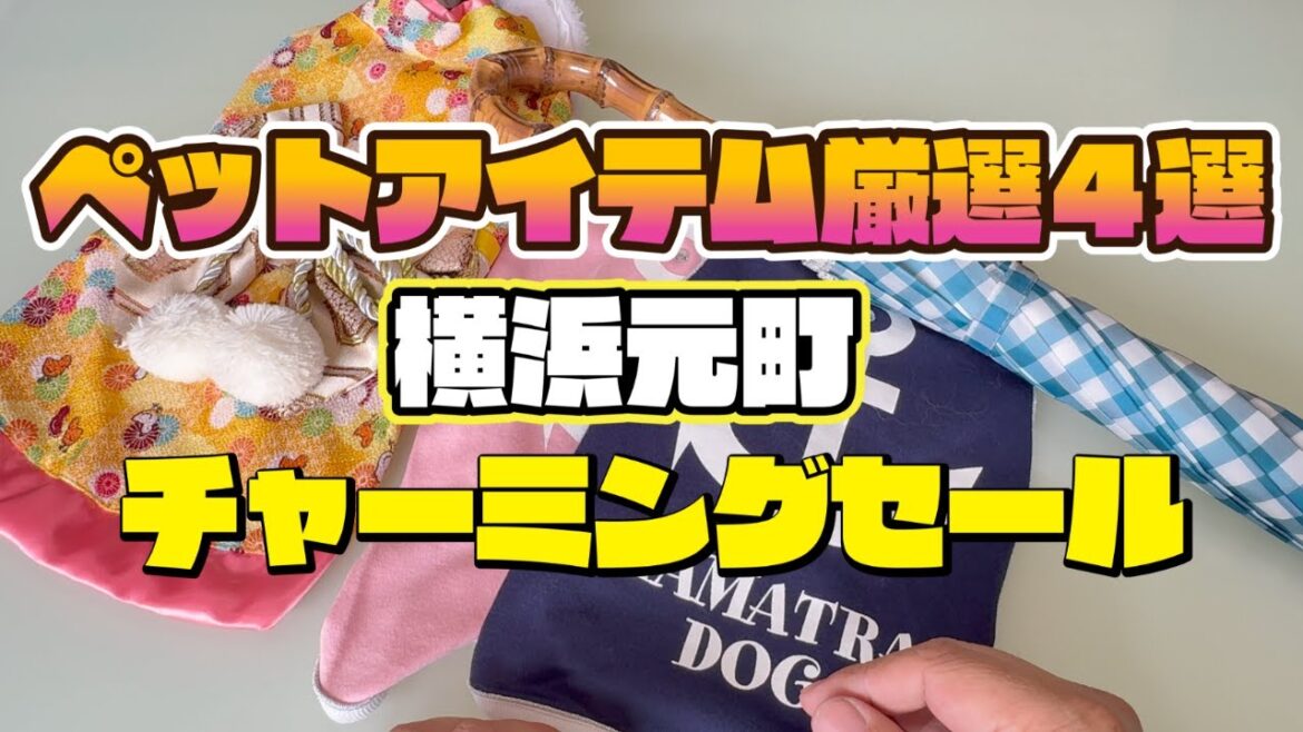 【横浜元町ペットアイテム】【半期に一度の爆安】横浜元町チャーミングセールでペット用品が信じられない価格に！🐶戦利品4点紹介！