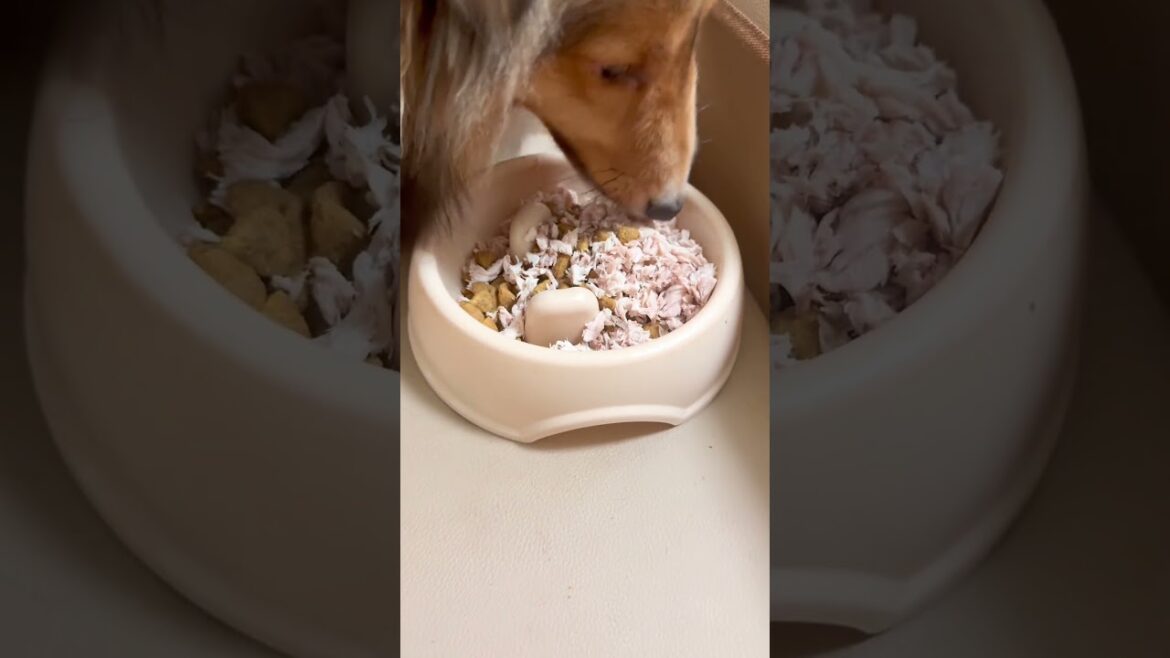 今日のトッピングはお魚です🐟