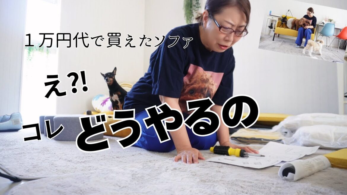 【犬とニトリ激安ソファ】苦手なソファ組み立てに大苦戦!犬たちの冷静な目線www~多頭飼い~チワワ シーズー ミニチュアピンシャー トイプードル 【犬とニトリ激安ソファ】苦手なソファ組み立てに大苦戦!犬たちの冷静な目線www~多頭飼い~チワワ シーズー ミニチュアピンシャー トイプードル