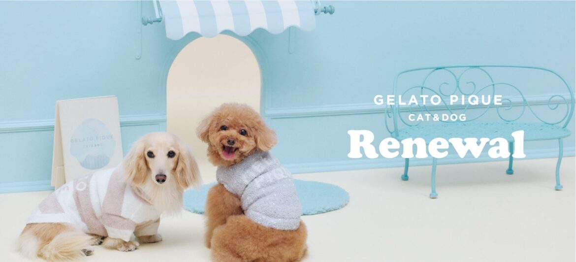 【GELATO PIQUE CAT & DOG(ジェラート ピケ キャット&ドッグ)】定番アイテムがリニューアル！新色・新サイズや新アイテムが9月16日(火)より登場