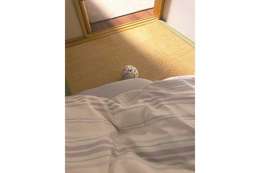 体調を崩して寝込んでいた飼い主さん。そばには、ひるねちゃんが置いていったボールが…【写真提供：柴犬ひるね（@ohirune190303）さん】