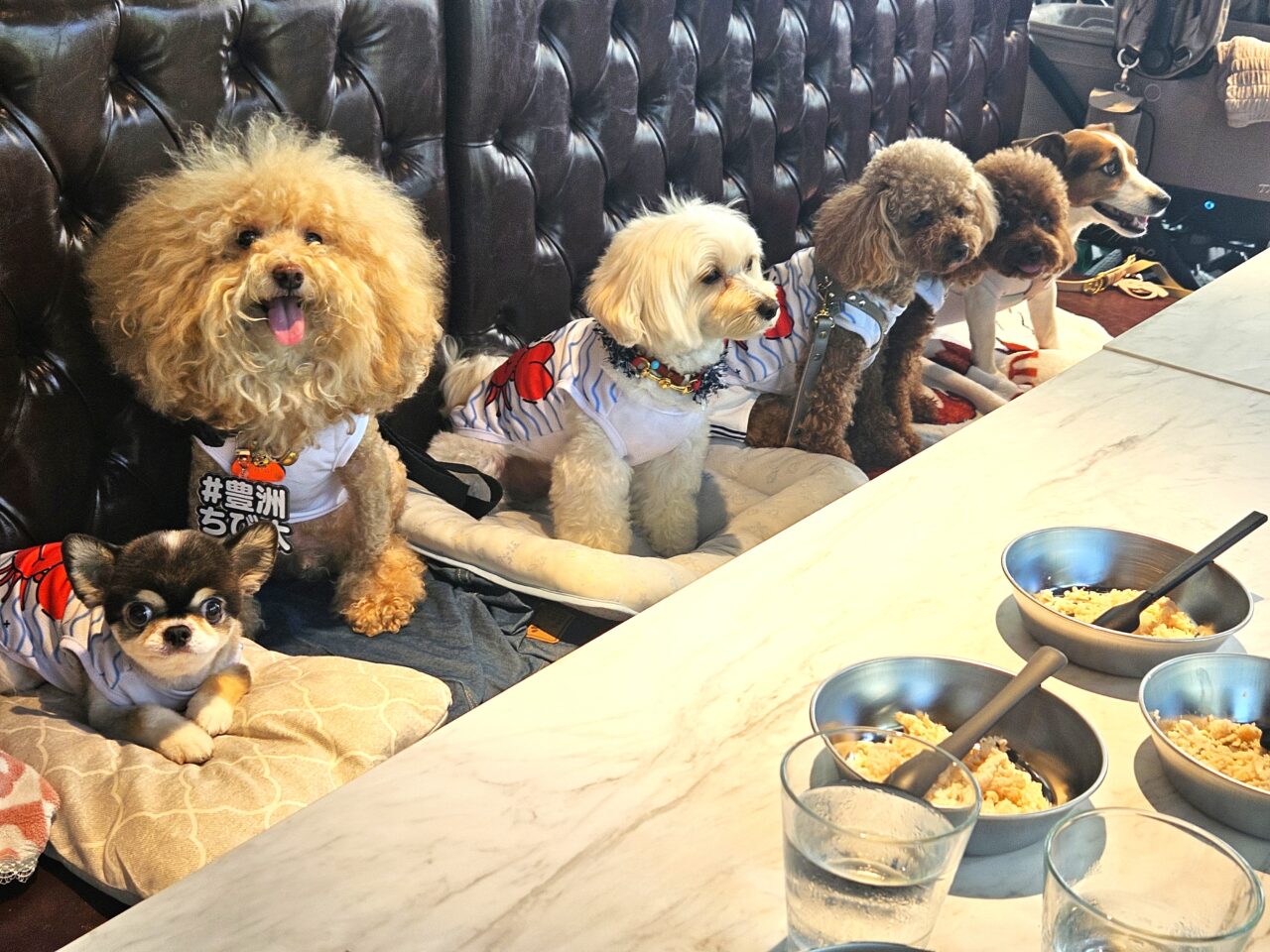 アネアカフェ豊洲のメニュー