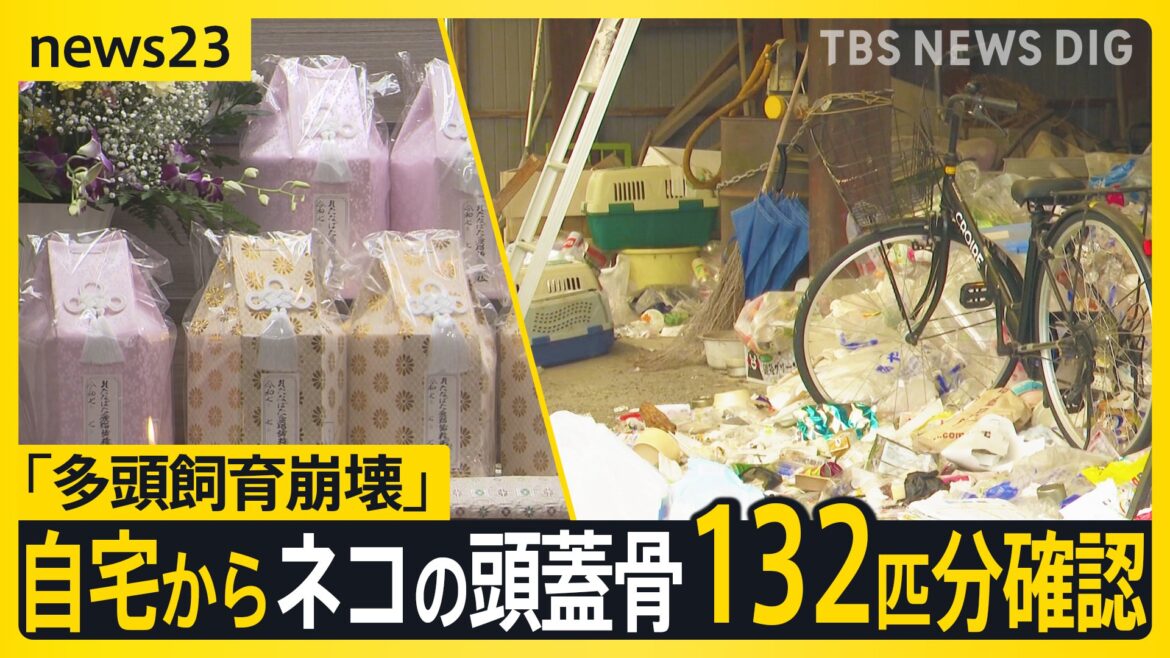 「手間で面倒になった」自宅からネコの頭蓋骨132匹分確認 「多頭飼育崩壊」ネコの保護活動をしていた女（51）逮捕　劣悪な環境で餌を与えず衰弱死か【news23】（TBS NEWS DIG Powered by JNN）