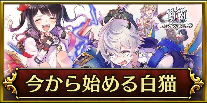 白猫_今から始める白猫プロジェクト