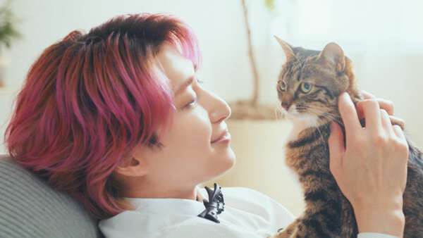 Snow Man佐久間大介、新CMで猫に囲まれ笑顔 愛猫との秘話も「可愛いなと思います」|au Webポータル芸能ニュース Snow Man佐久間大介、新CMで猫に囲まれ笑顔 愛猫との秘話も「可愛いなと思います」|au Webポータル芸能ニュース