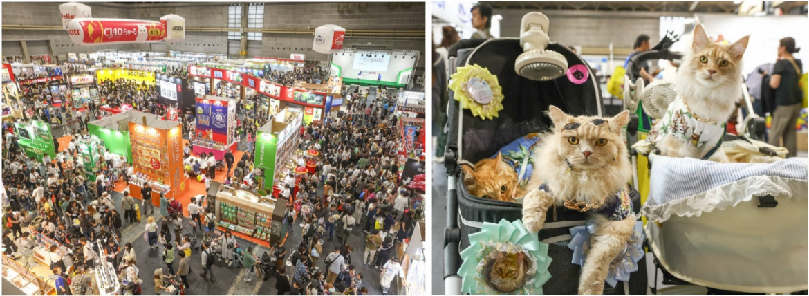 猫専門ゾーン「インターキャッツ」を新設 | メッセフランクフルト ジャパン株式会社のプレスリリース