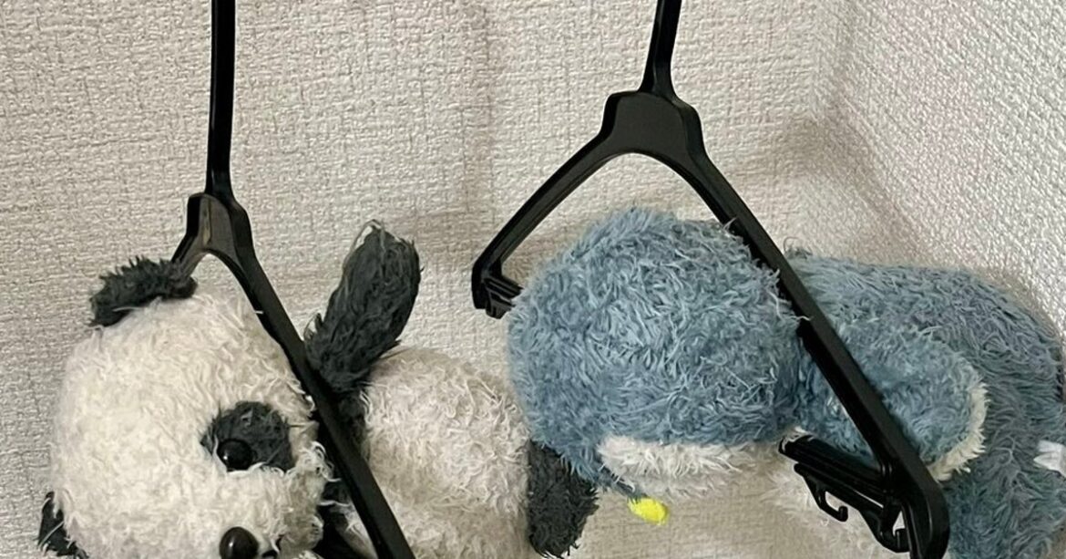 ぬいぐるみを洗濯したら⇨猫「助けにきたぞ!」 その友情に胸が熱くなる人が多数 – ハフポスト ぬいぐるみを洗濯したら⇨猫「助けにきたぞ!」 その友情に胸が熱くなる人が多数 - ハフポスト