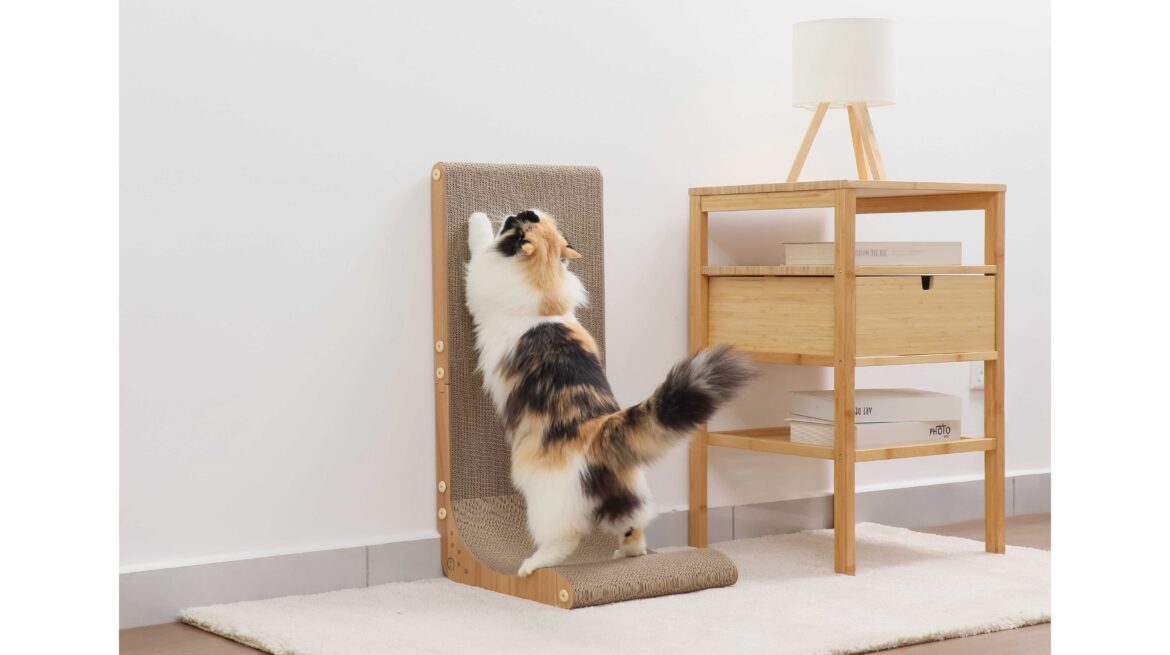 壁を傷つけず、猫がのび〜っと爪とぎできる進化した 縦型「バリバリボード ウッドプレミアム」 全国販売開始！つめとぎパーツは交換可能＆両面使用もOK | 株式会社猫壱