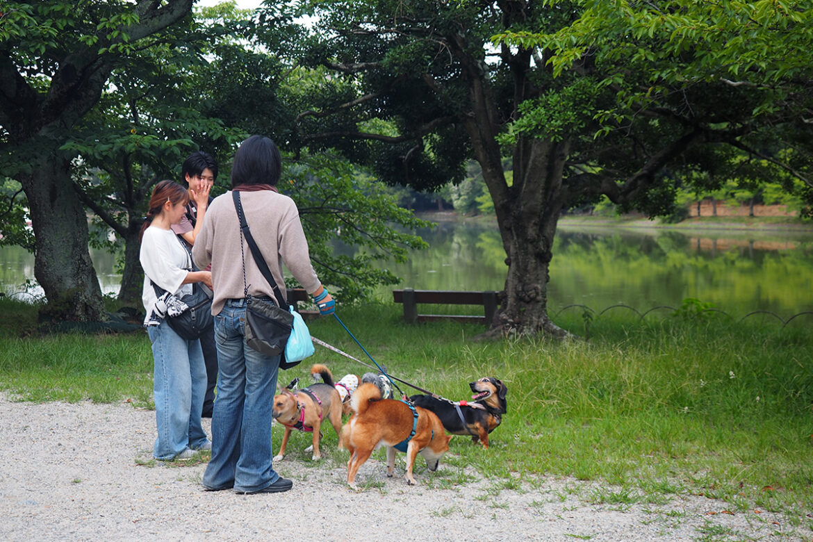 明石公園で開催されたドッグトレーナーによるお散歩会に参加してきた!【Pet House Olive】 | 明石じゃーなる 明石公園で開催されたドッグトレーナーによるお散歩会に参加してきた!【Pet House Olive】 | 明石じゃーなる
