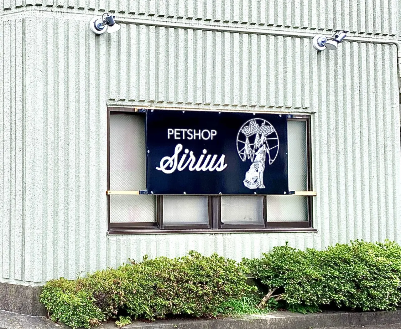 【相模原市中央区】中央5丁目の住宅街に爬虫類専門ペットショップ「Sirius」が9/6(土)にオープンしました！
