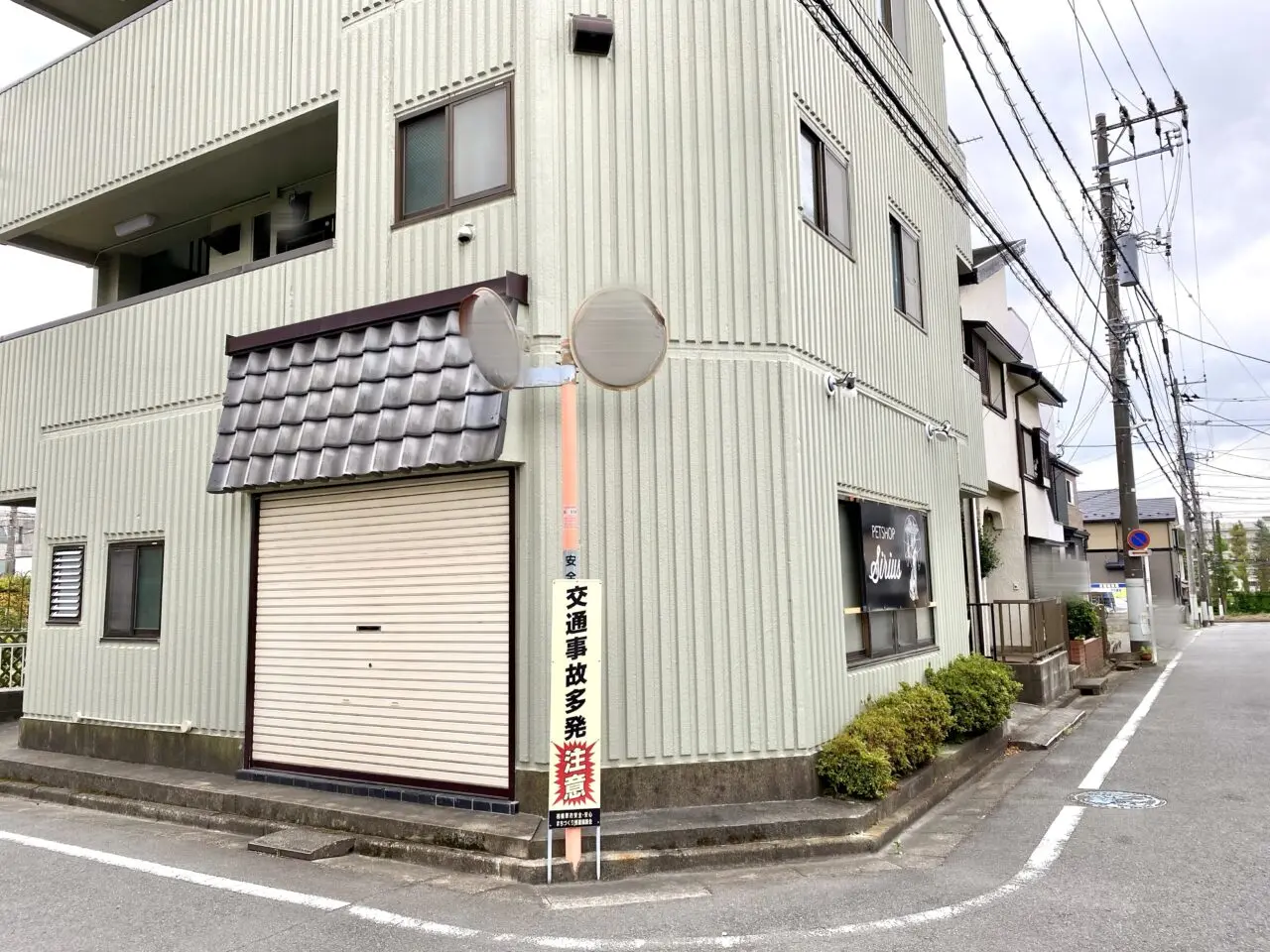 【相模原市中央区】中央5丁目の住宅街に爬虫類専門ペットショップ「Sirius」が9/6(土)にオープンしました！