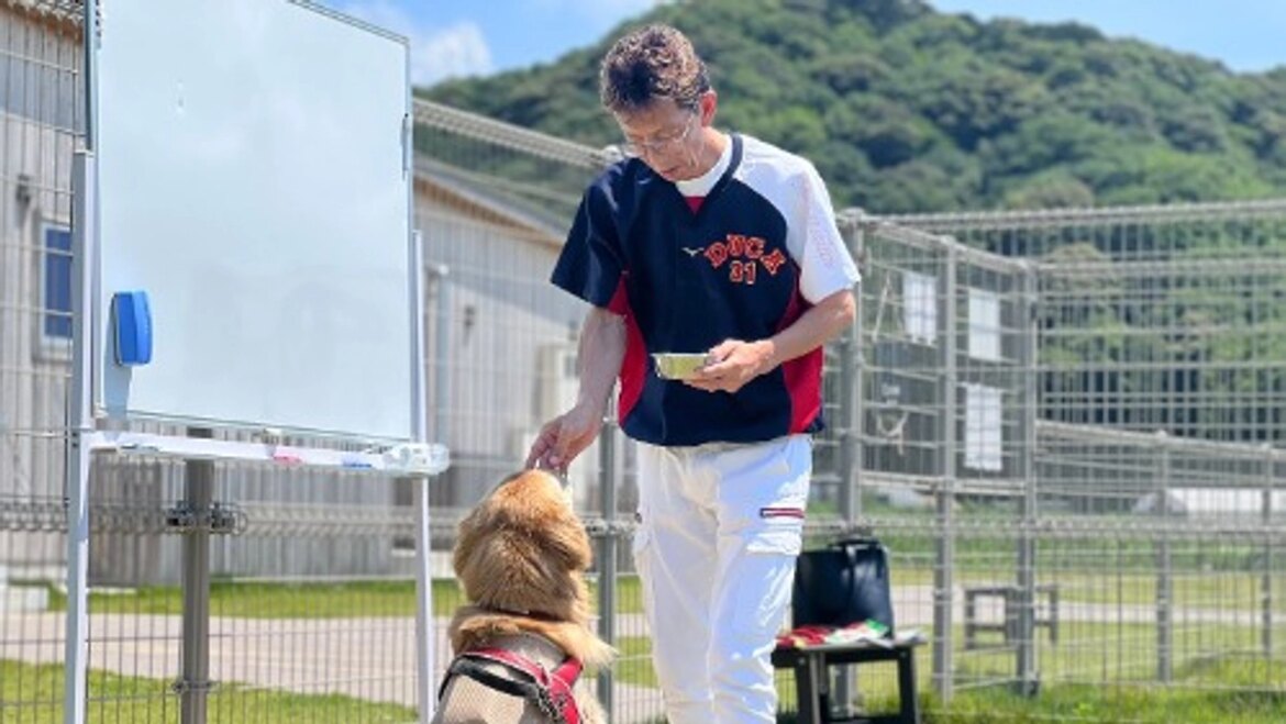 【850万まであと6万！】ペット保険最大手のアニコムの動物保護施設を監修しています！ 高齢犬も高齢者も排除せず、人と犬が共に幸せに生きられる未来をつくる（高橋忍(NPO法人 DOG DUCA 代表・ドッグトレーナー) 2025/09/19 投稿）