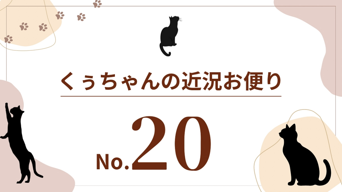 【くぅちゃんの近況おたより(9月5日〜9月11日)】 大切な愛猫クレオを抗がん剤で救いたい。(わたなべ 2025/09/12 投稿) – クラウドファンディング READYFOR 【くぅちゃんの近況おたより(9月5日〜9月11日)】 大切な愛猫クレオを抗がん剤で救いたい。(わたなべ 2025/09/12 投稿) - クラウドファンディング READYFOR