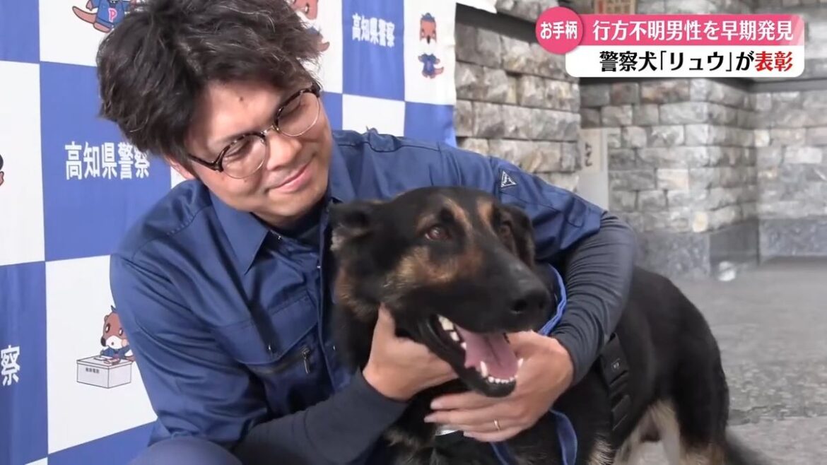 行方不明者を発見した警察犬『リュウ』を表彰 ご褒美は骨型ガム【高知】(2025年9月12日掲載)|RKC NEWS NNN 共有
