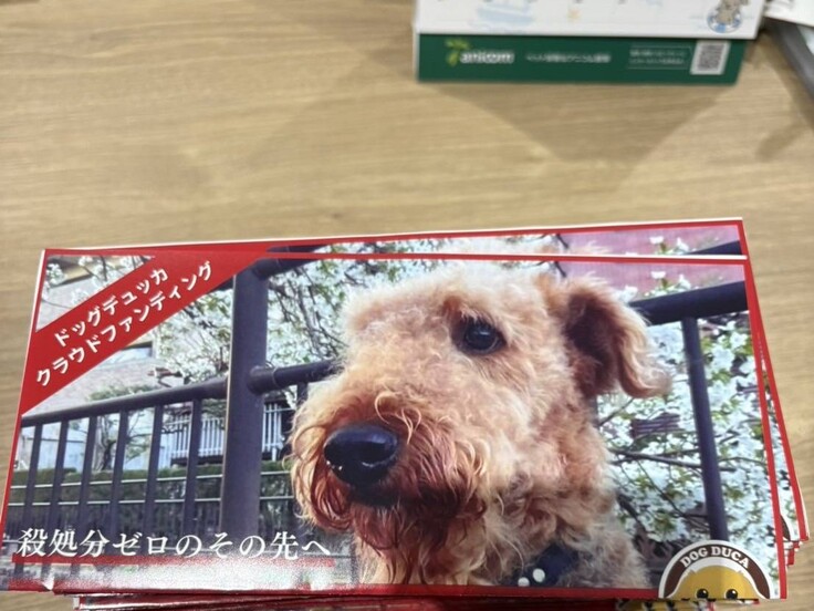 CFチラシ