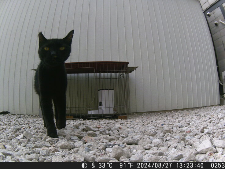 DSCF0253.JPG