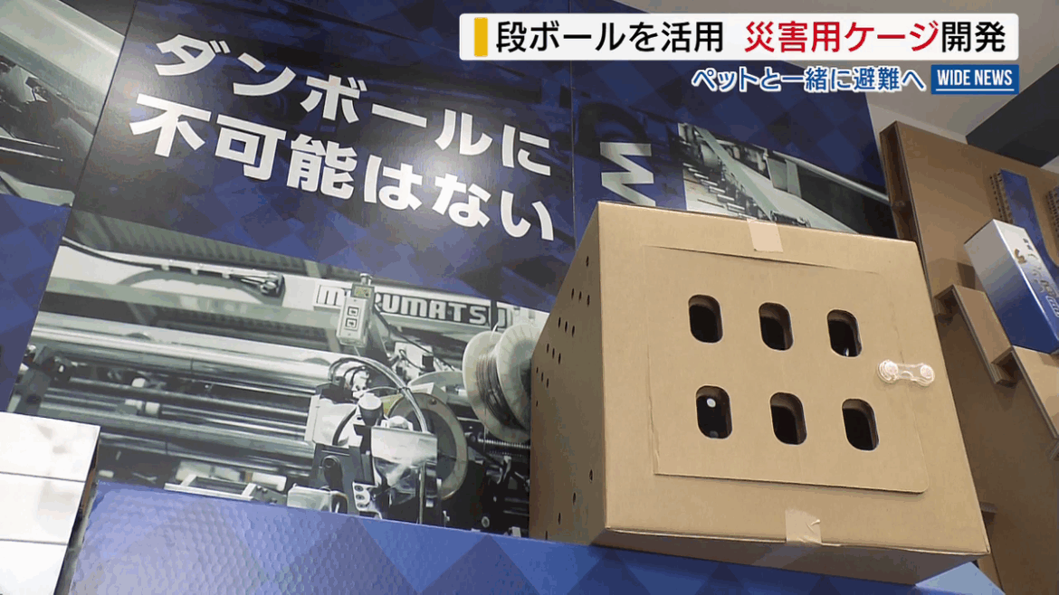 「ペットと一緒に避難を」 段ボールで災害用ペットケージ開発 避難所で活用へ 山梨(2025年9月18日掲載)|YBS NEWS NNN 共有