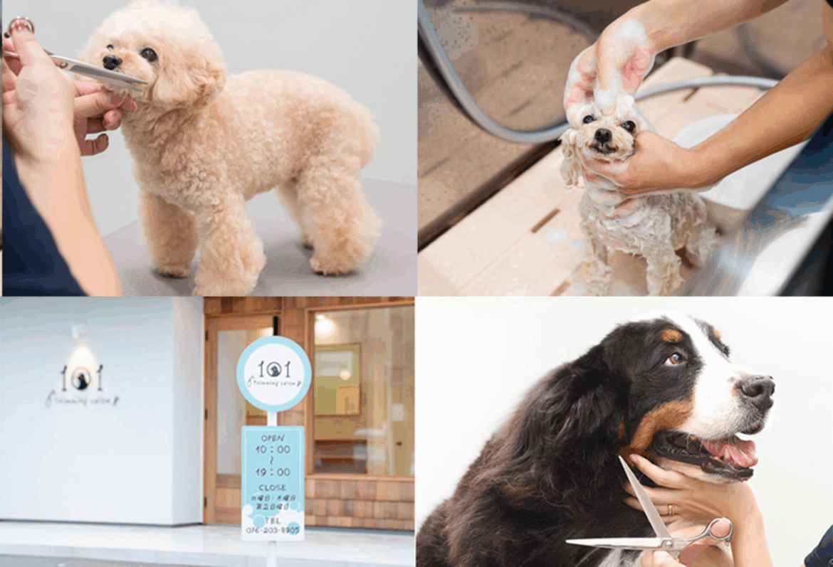 【PR】ワンちゃんネコちゃんの飼い主必見♡洗練されたプライベートサロン「101 Trimming salon」をご紹介!大型犬から猫ちゃんまでカット・シャンプー対応可! – 週末、金沢。 【PR】ワンちゃんネコちゃんの飼い主必見♡洗練されたプライベートサロン「101 Trimming salon」をご紹介!大型犬から猫ちゃんまでカット・シャンプー対応可! - 週末、金沢。