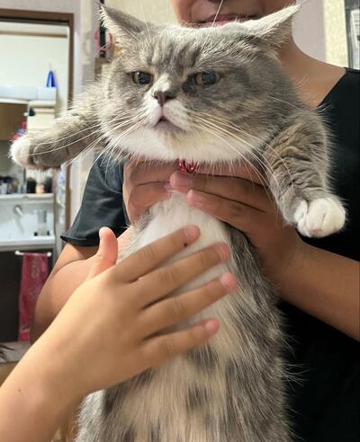 投稿の画像