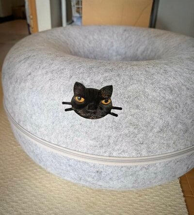 投稿の画像