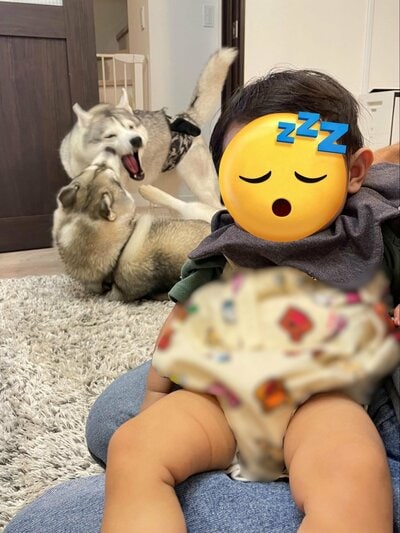 投稿の画像