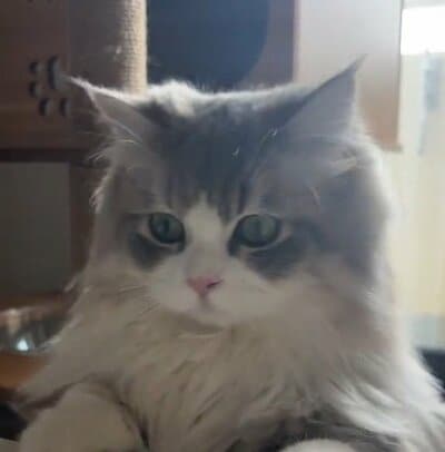 投稿の画像
