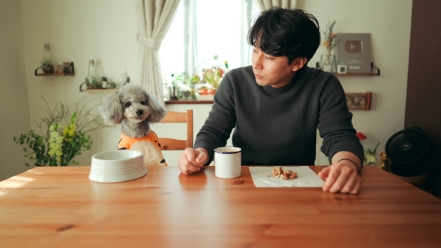P2Cスタジオ、ペットチャンネル「グリィちゃんねる」とドッグフード開発 愛犬のシニア期突入が契機に
