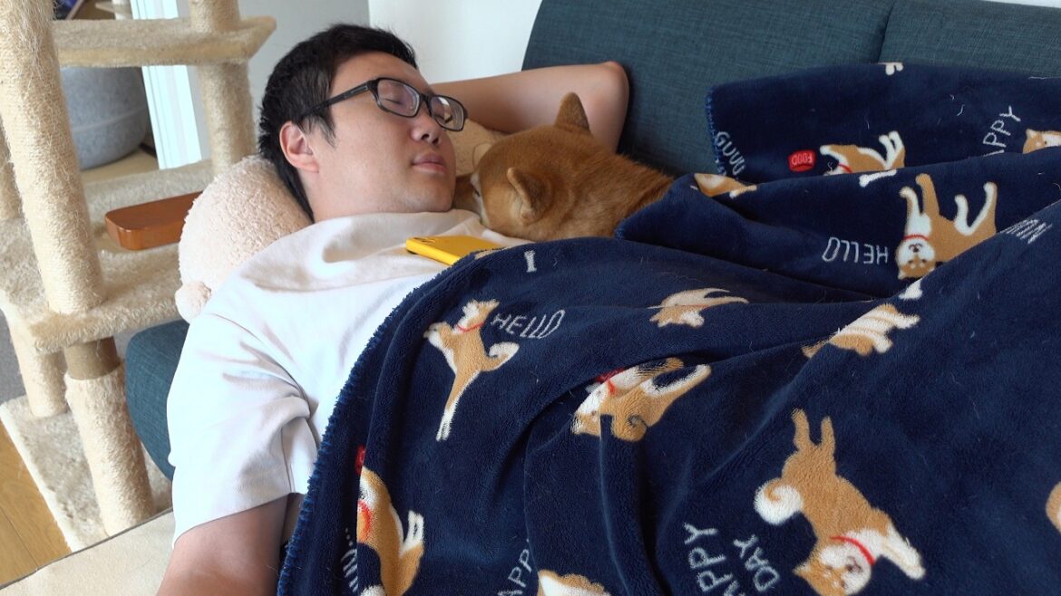 柴犬のお泊まり会でパパまさかの戦力外通告⁉︎ふて寝してたらまさかの神展開へ。