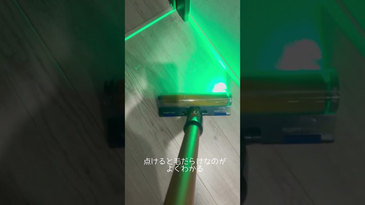 ペールグレー床 × ダイソンLEDで抜け毛チェックしてみた