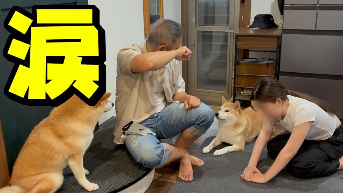 この度、こまちく娘の一生に一度の大切な日を迎える事ができました…こっそり涙するパパが切ない