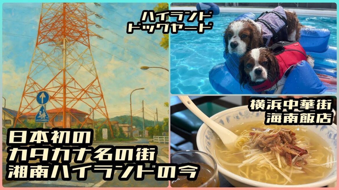日本初のカタカナ名の街「湘南ハイランド」の今。ハイランドドッグヤードにキャバリア仲間と行ってきた。